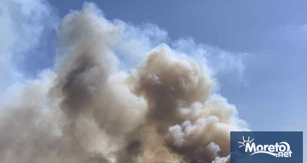 Пожар в сухи треви е възникнал в района на Пластхим