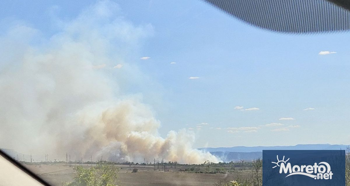 Варна осъмна с тежка и задушна миризма заради пожари Читатели