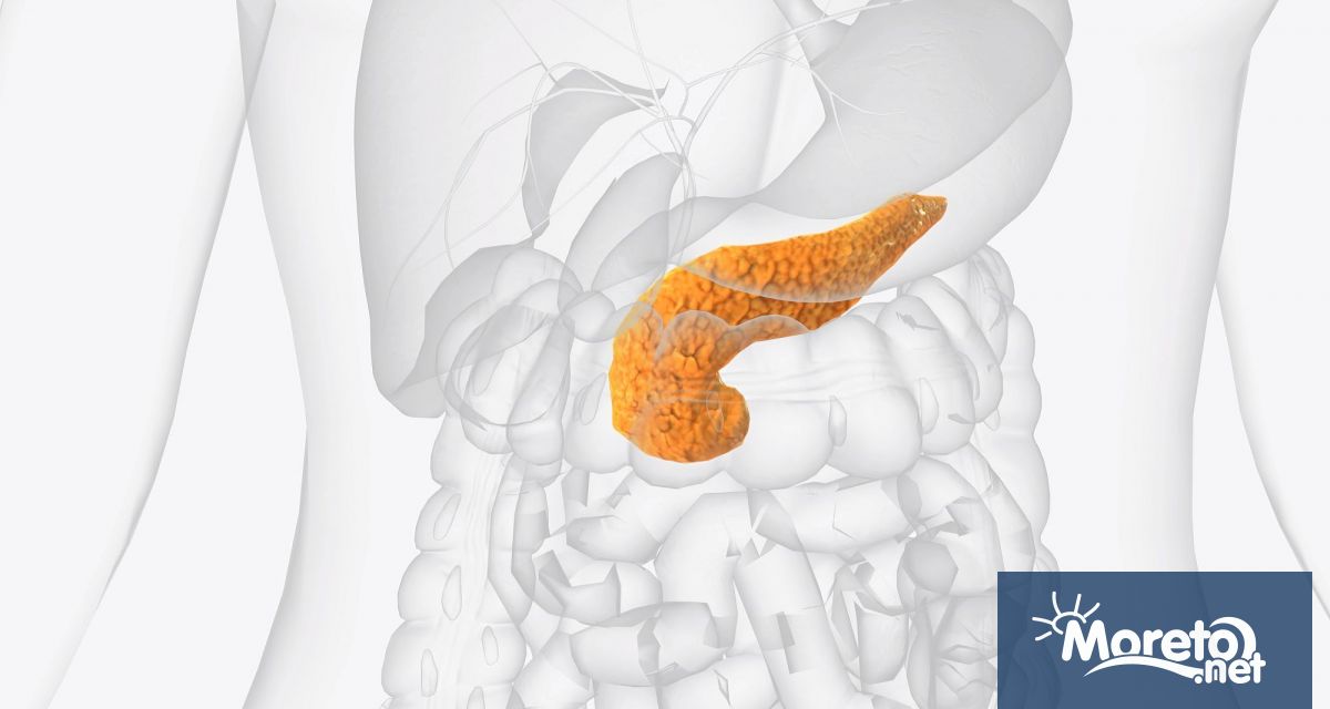 Учени от NYU Langone Health и Perlmutter Cancer Center установиха