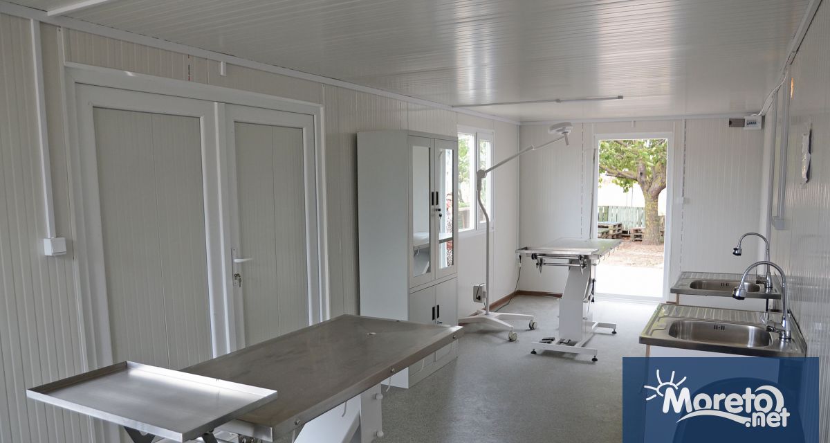 Община Варна набира двама кандидати за длъжностите ветеринарен лекар и