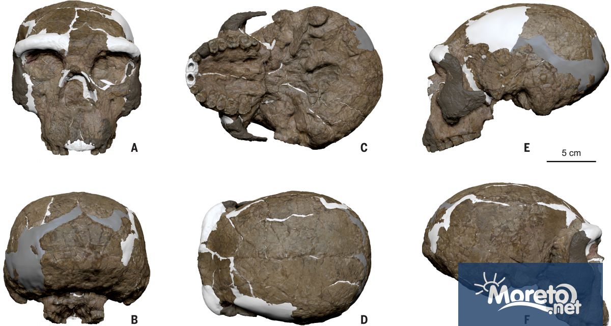 Силно деформиран череп открит преди десетилетия на речен бряг в