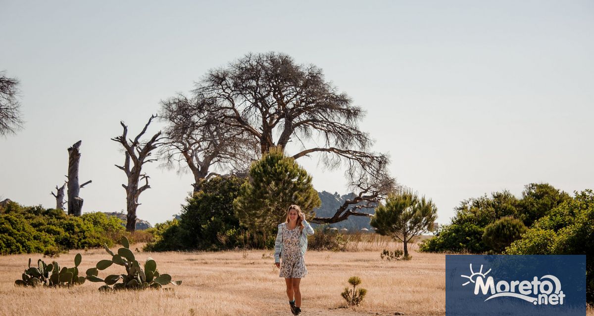 От 7 октомври 2025 г българските граждани с обикновени паспорти