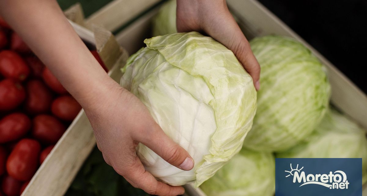 Зелето е една от най достъпните и универсални зеленчуци познато още