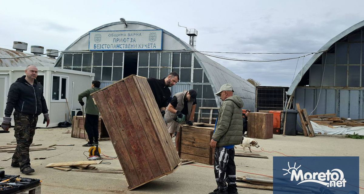 Питомниците на Общинския приют за безстопанствени животни в село Каменар