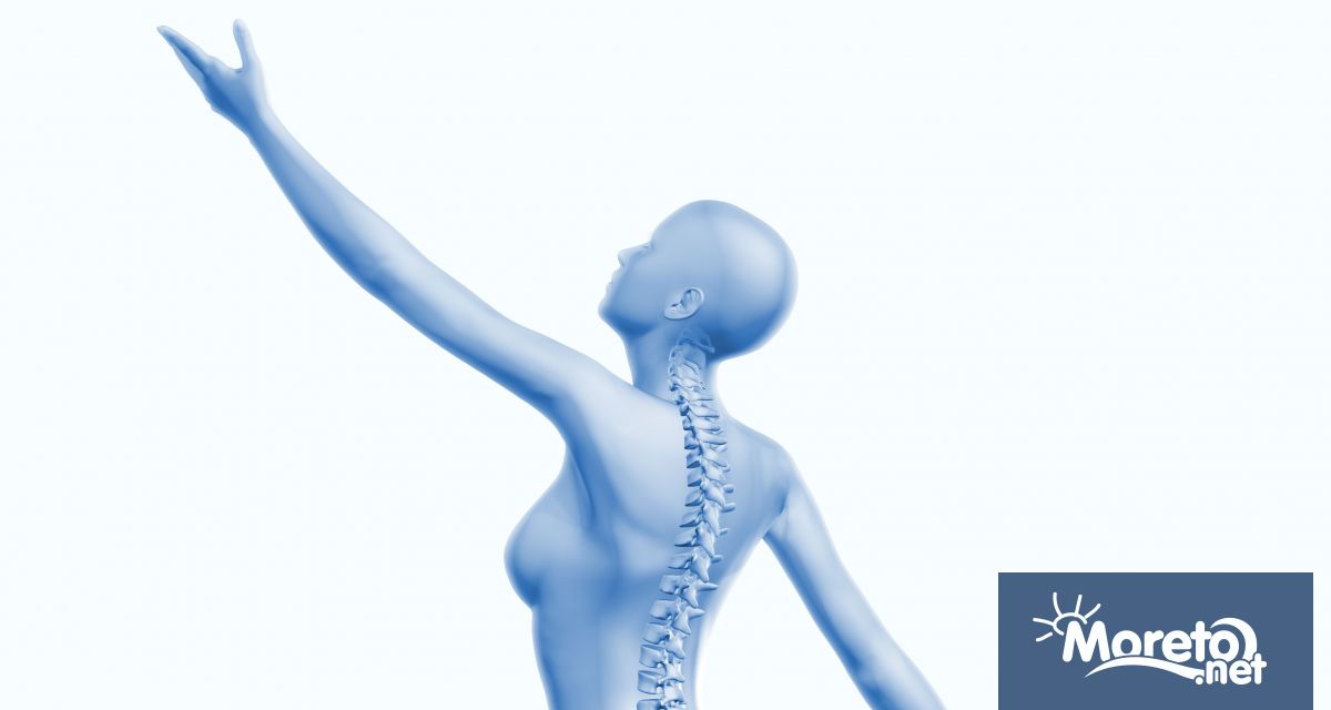 На 29 октомври от 17 00 до 19 00 часа Юнашкият салон