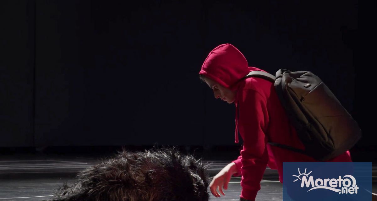 Кученце от Общинския приют за безстопанствени кучета в с Каменар