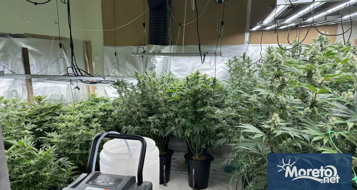 Специализирана операция на полицията във Варна доведе до разкриването на