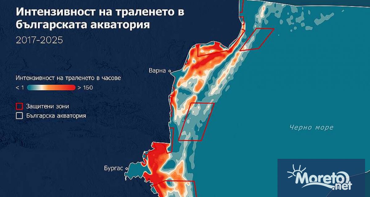 На 31 октомври отбелязваме Международния ден на Черно море и