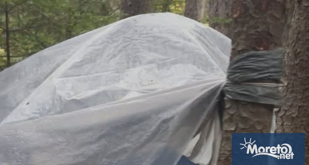 По време на рутинна проверка на 30 октомври служители на