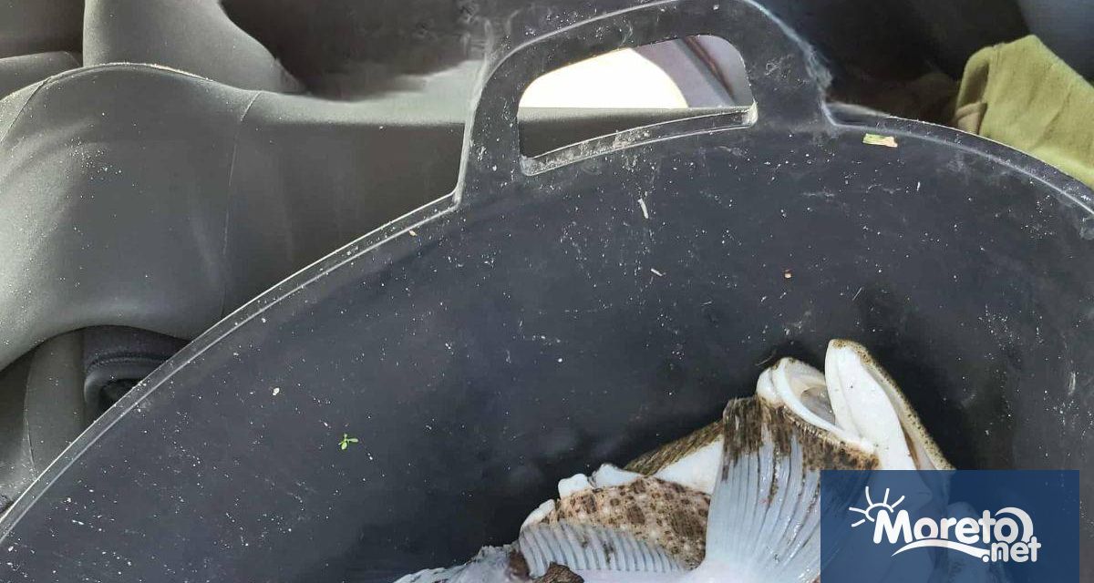 Екипи на Изпълнителната агенция по рибарство и аквакултури ИАРА заловиха