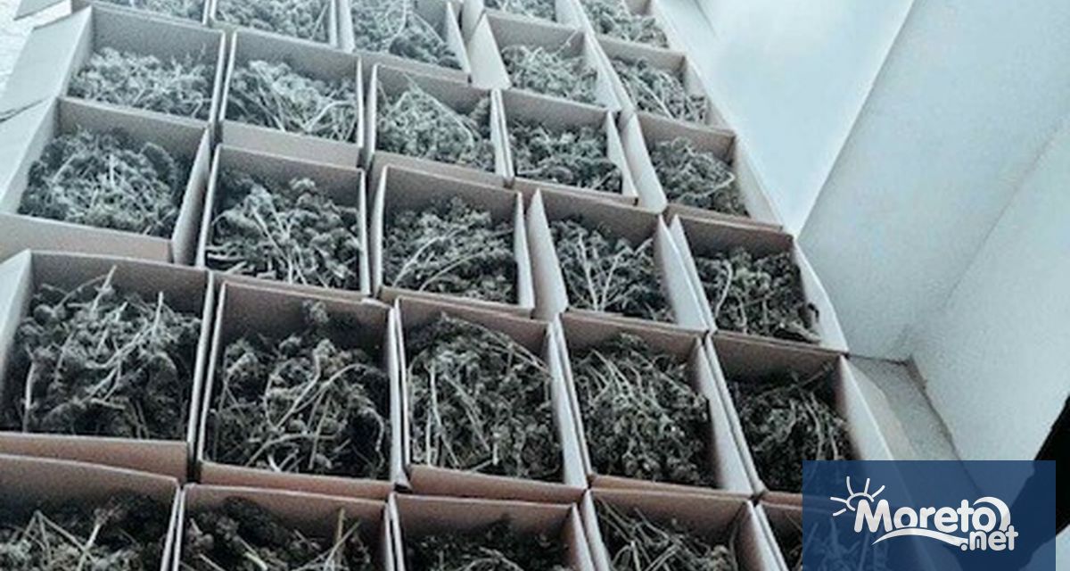 При специализирана операция в София са иззети над 150 килограма