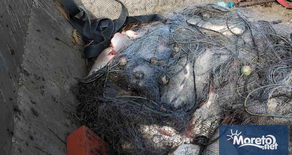 При рутинни проверки на езерата Дуранкулак и Шабла служители на