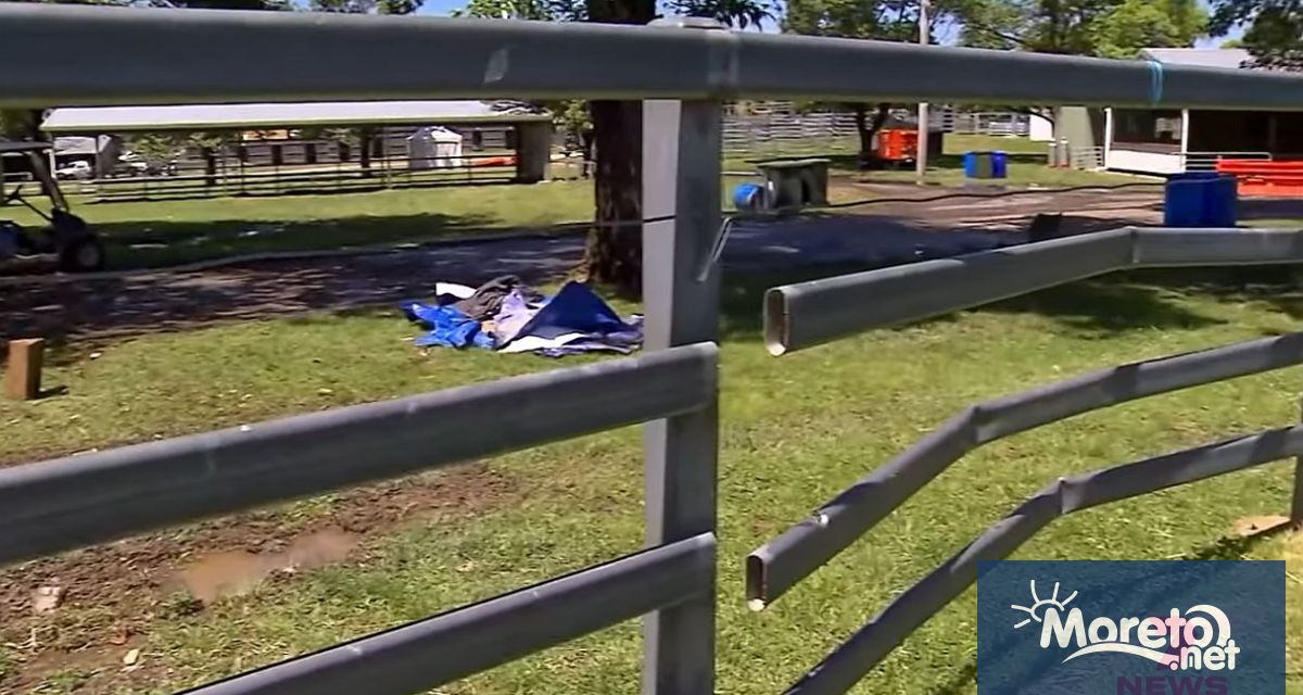 Кола се вряза в тълпа по време на състезание в