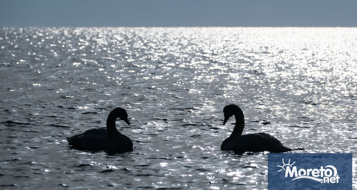 Днес облачността временно ще намалява и валежите ще спират Вятърът