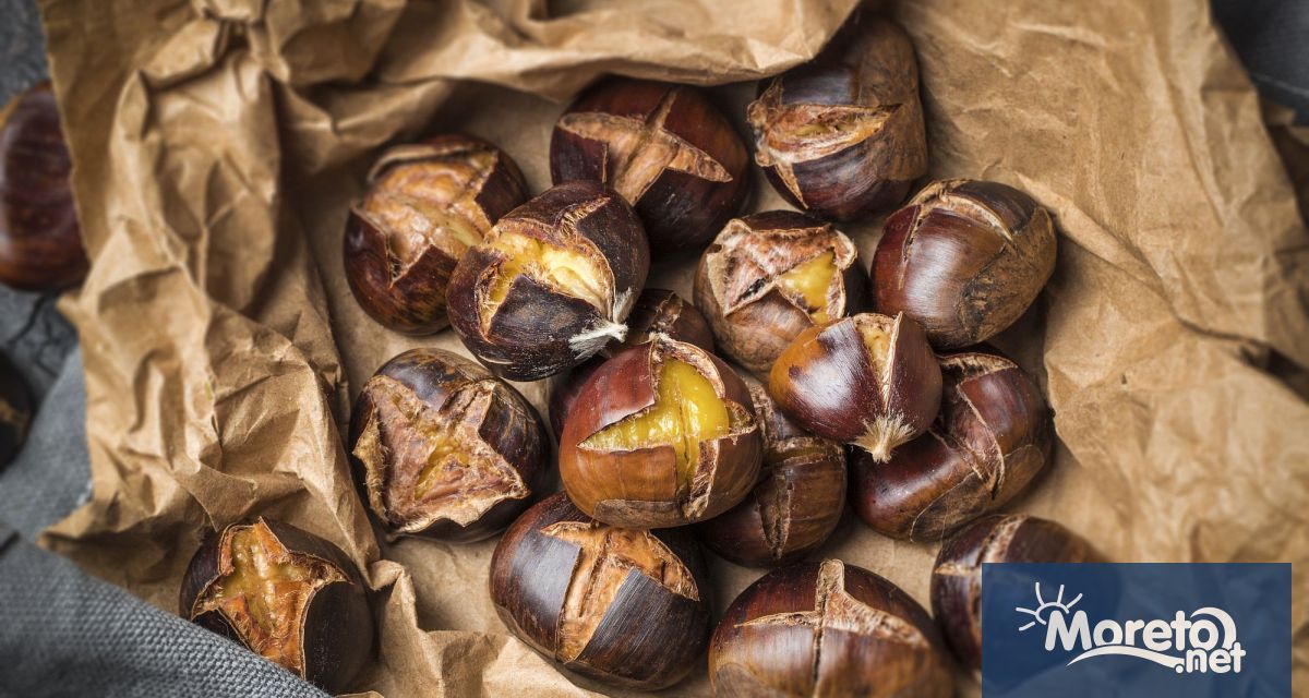 Кестените не само са вкусен сезонен дар но и богати