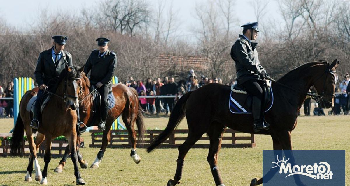 Столичната конна полиция ще продаде 11 от своите коне на