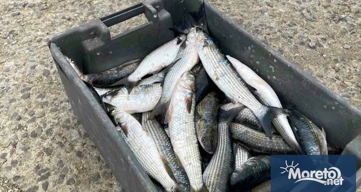 При съвместна проверка на ИАРА – Варна и ОДБХ –