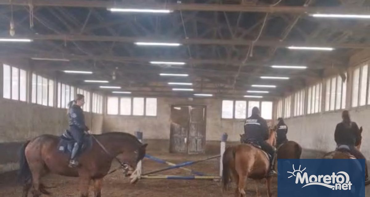 Интергрупата за защита на животните в Европейския парламент изпрати официално