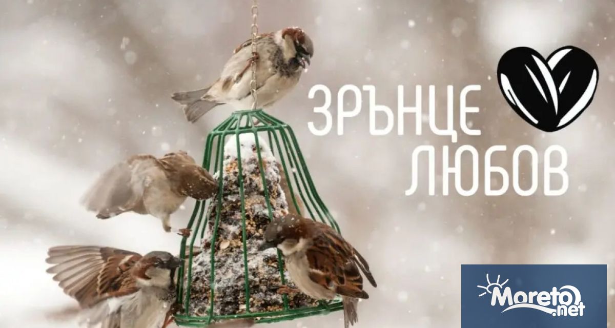 В началото на декември за 17 а поредна година Българското дружество