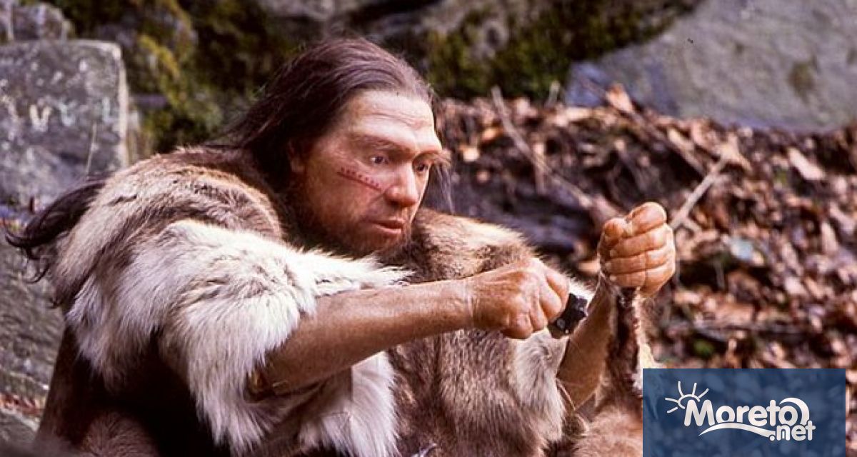 Популярната представа за палео диетата – че ранните хора са