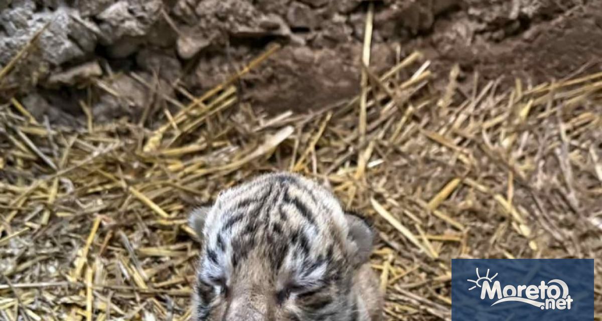 За първи път в историята на зоопарка в Стара Загора