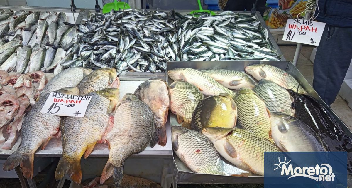 Рибната борса на Централния пазар във Варна се оказа притегателно
