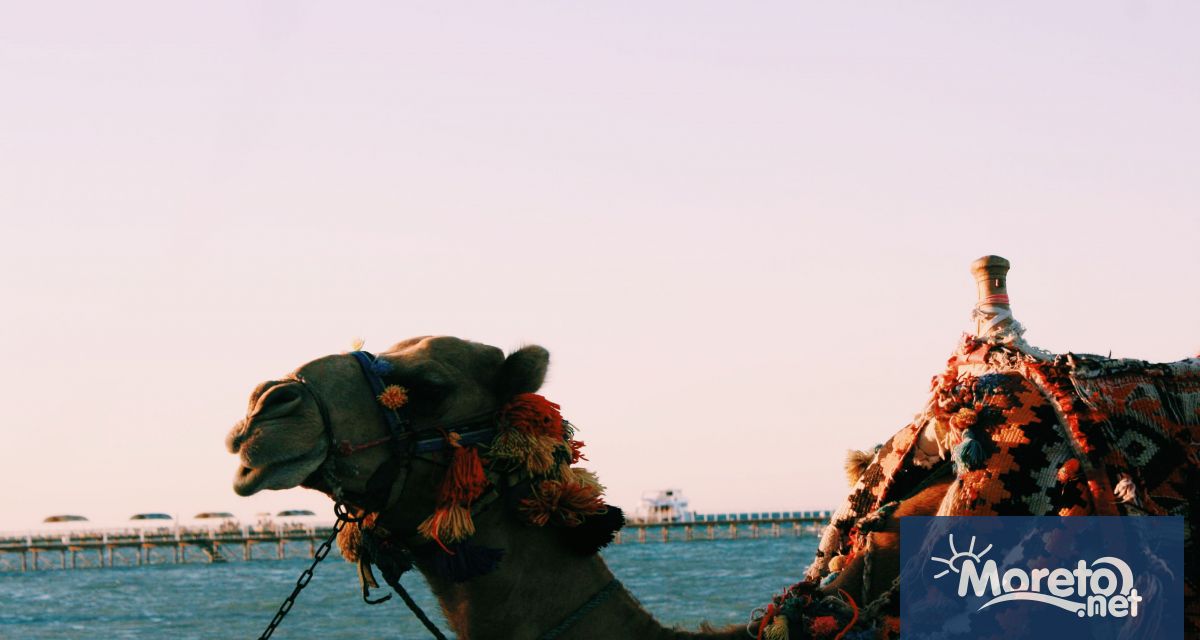 Саудитска Арабия започва да разширява туристическите си предложения отвъд луксозните