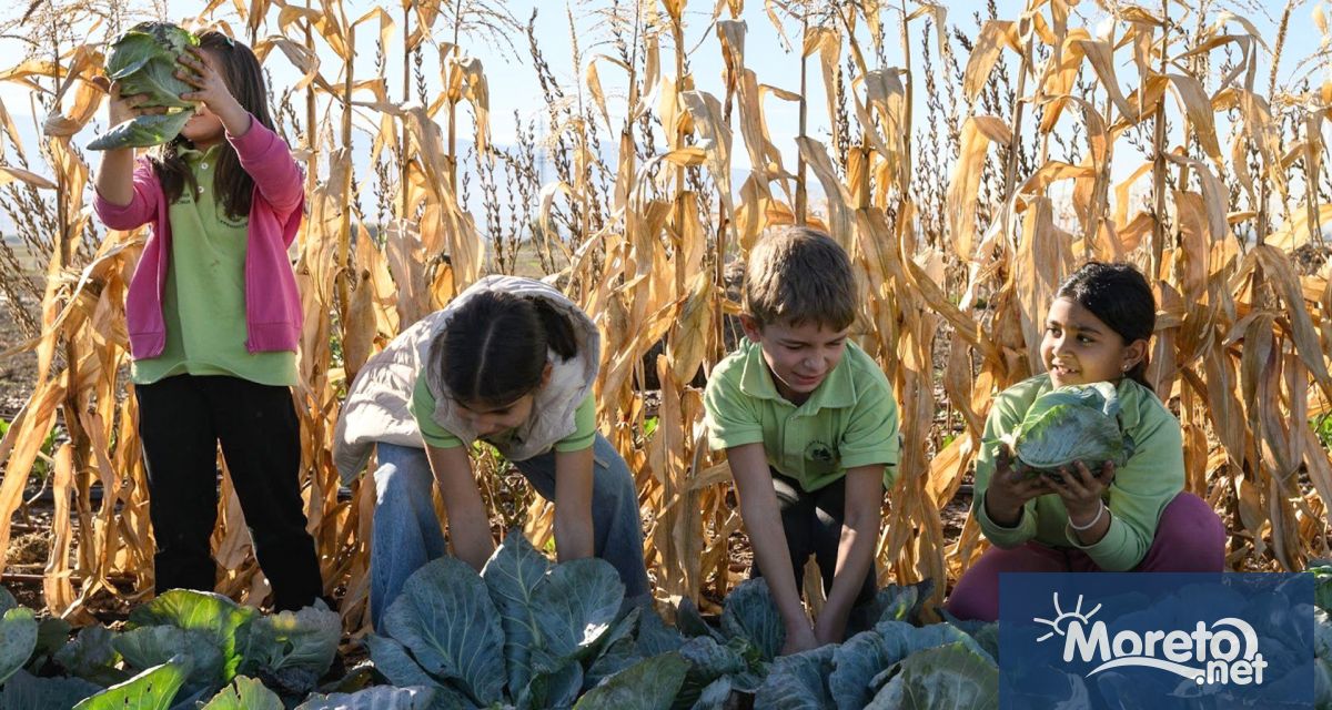 На 5 декември отбелязахме Световния ден на почвите повод който