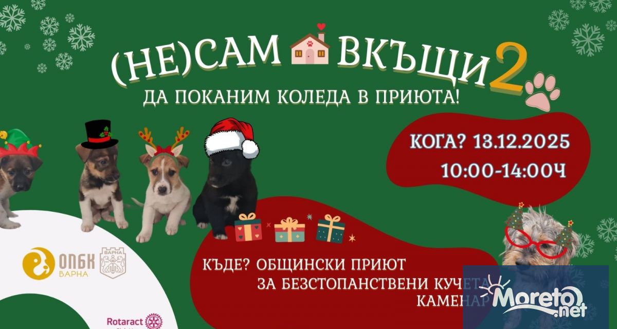 За втора поредна година Общинският приют за безстопанствени кучета в