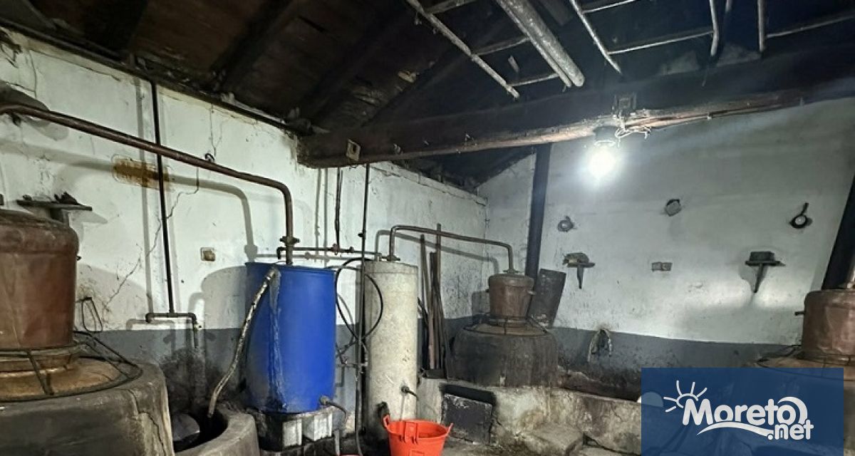 Служители на Териториална дирекция Митница Варна задържаха 366 литра нелегален