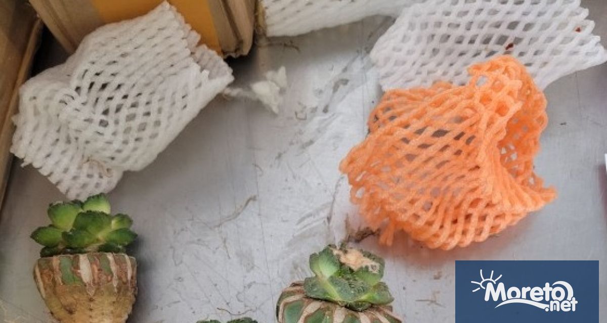 Почти 30 000 живи животни бяха конфискувани по време на