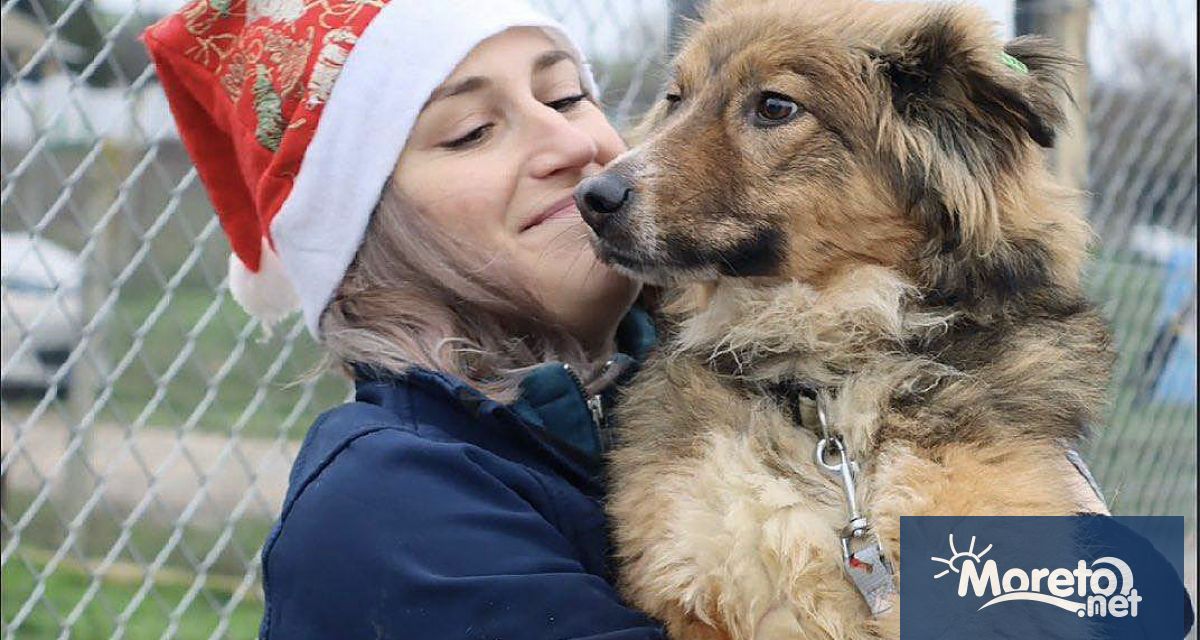 Над 100 любители на животните посетиха в събота общинския Приют