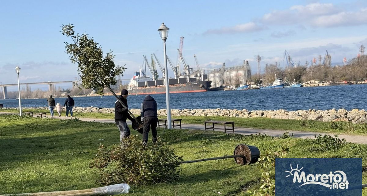 В Аспарухово започна подготовката за изграждането на Алея на рока