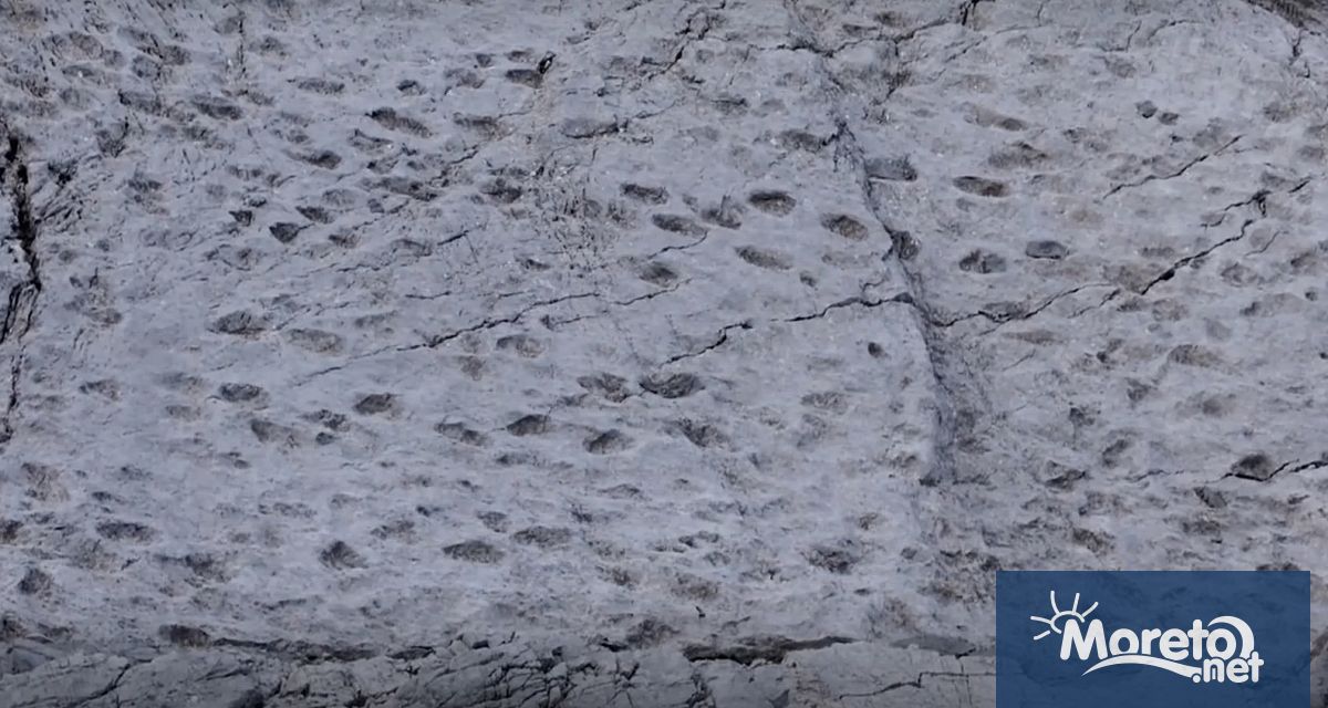 Хиляди отпечатъци от динозаври датиращи отпреди 210 милиона години бяха