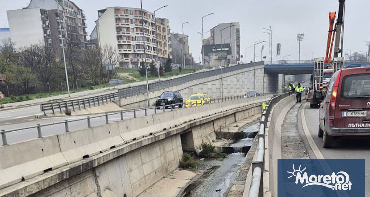 Каналът между двете платна на бул Васил Левски е почистен