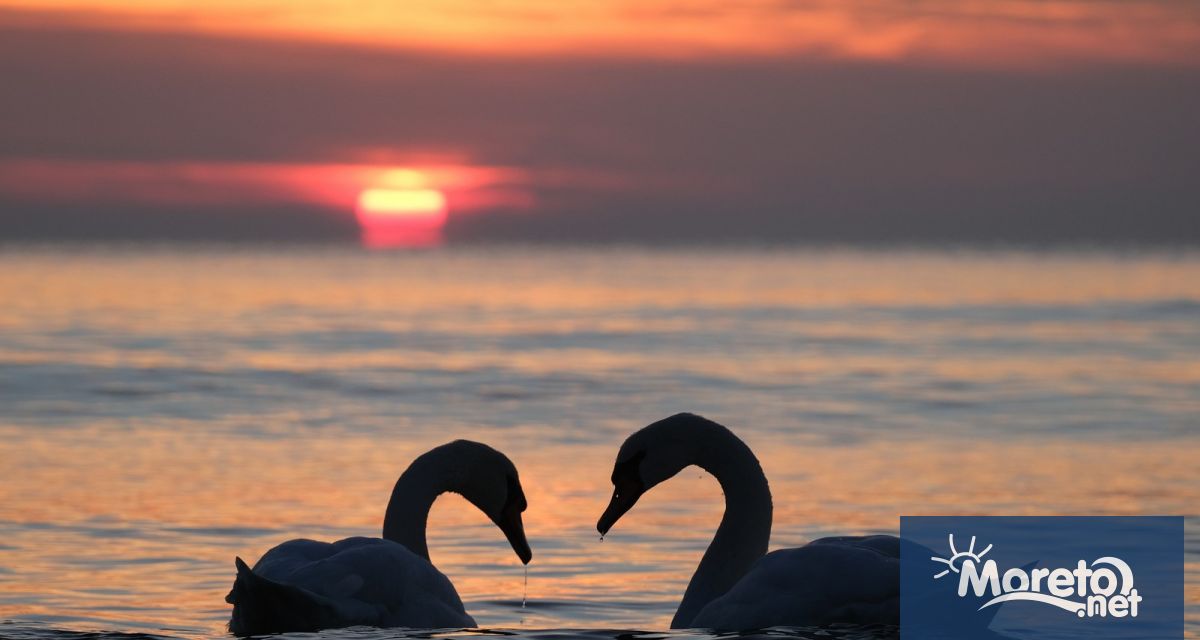 По Черноморието ще има по значителни увеличения на облачността но