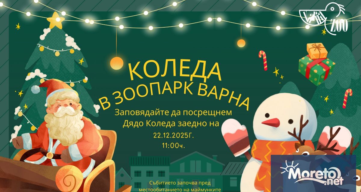 Варненският зоопарк кани всички деца и техните семейства да се