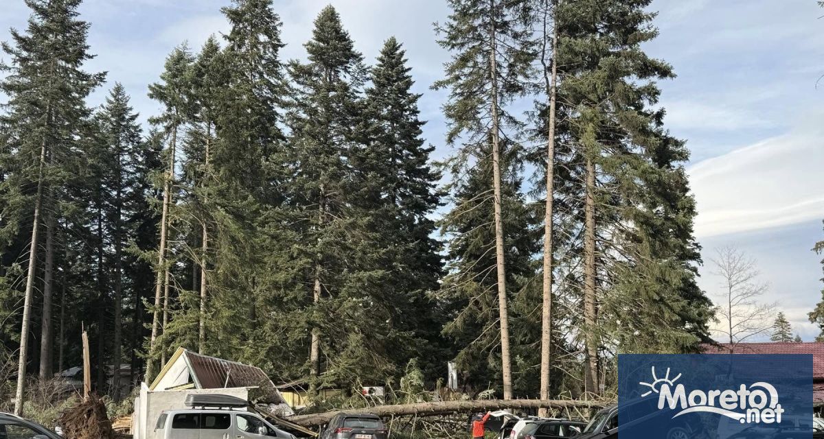 Цялата ски зона на курорта Боровец беше затворена днес в