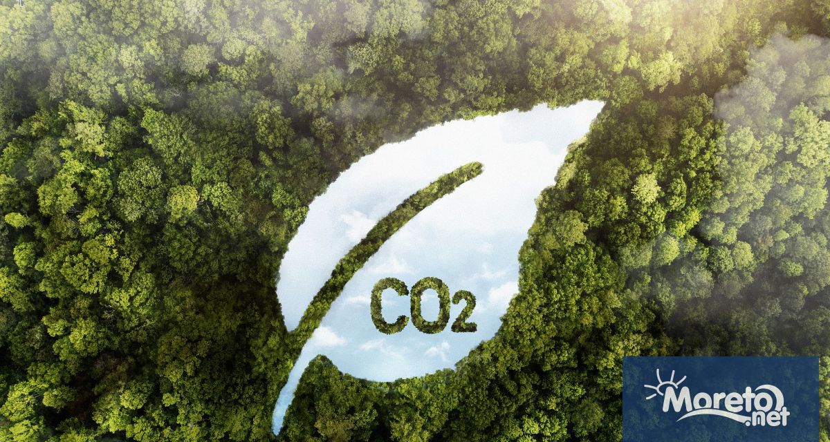 ●	Мъжете отделят между 16 и 26 повече емисии от жените