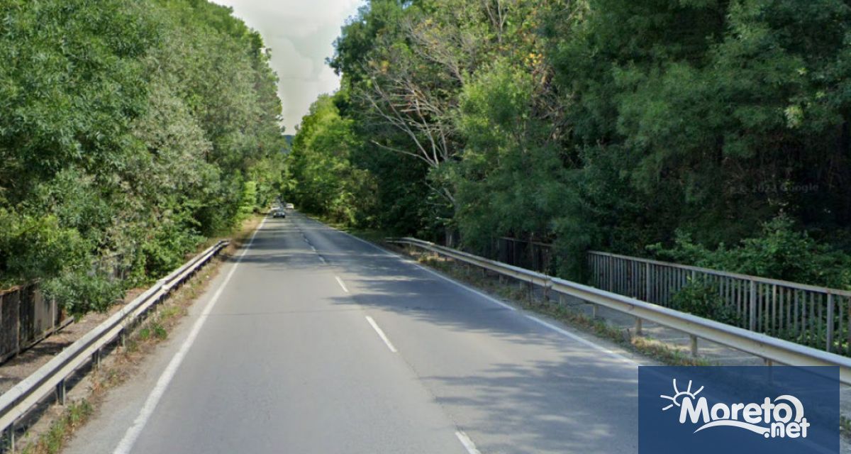 Днес и утре ще бъдат отстранени крайпътни дървета в участъка