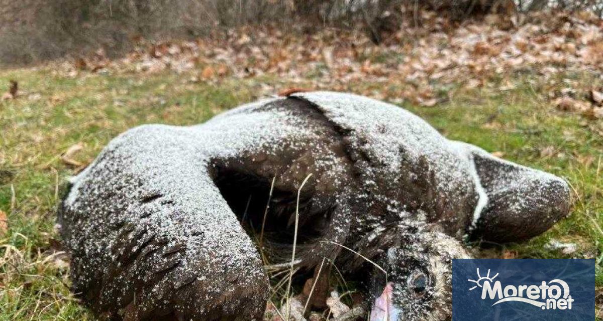 Министерството на околната среда и водите призова за по ефективно