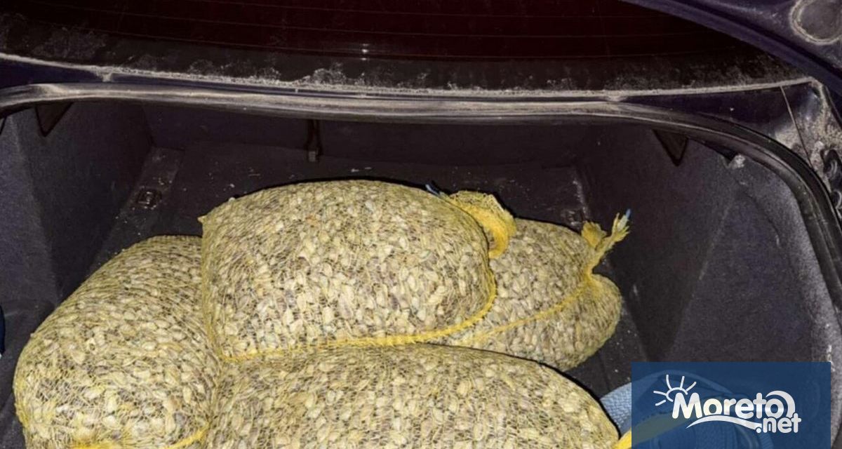 Служители на Гранична полиция заловиха бракониер с незаконен улов от