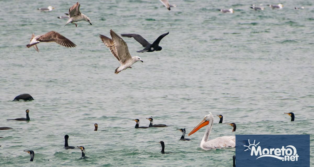 На 20 януари слънцето във Варна изгрява в 7 35