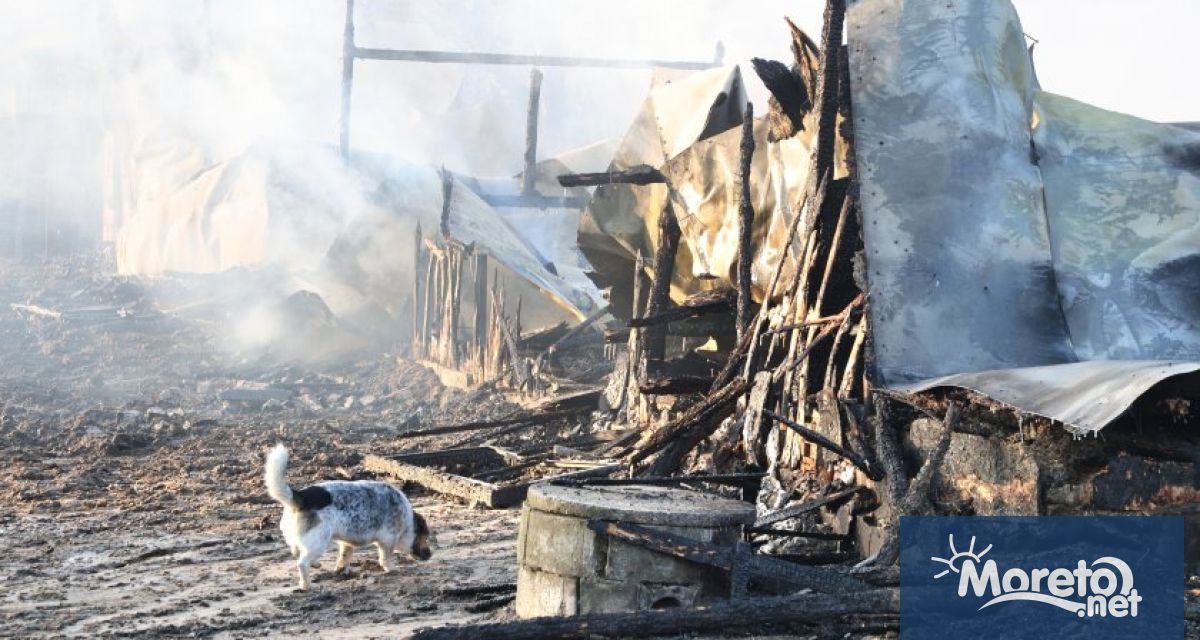 Към настоящия момент няма никакви инвестиционни намерения които да свързват