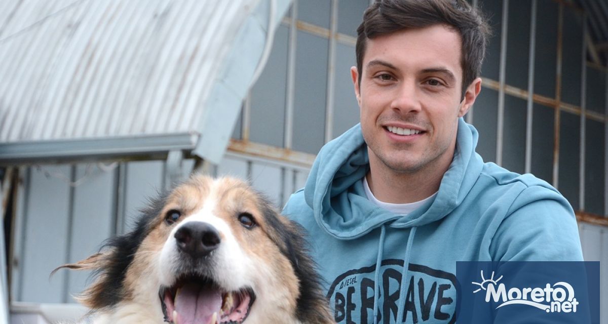 Кампанията за осиновяване на безстопанствени кучета от общинския приют в