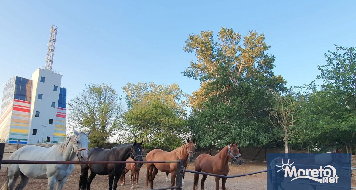Във Варна ще настояват за изграждането на паметник в памет
