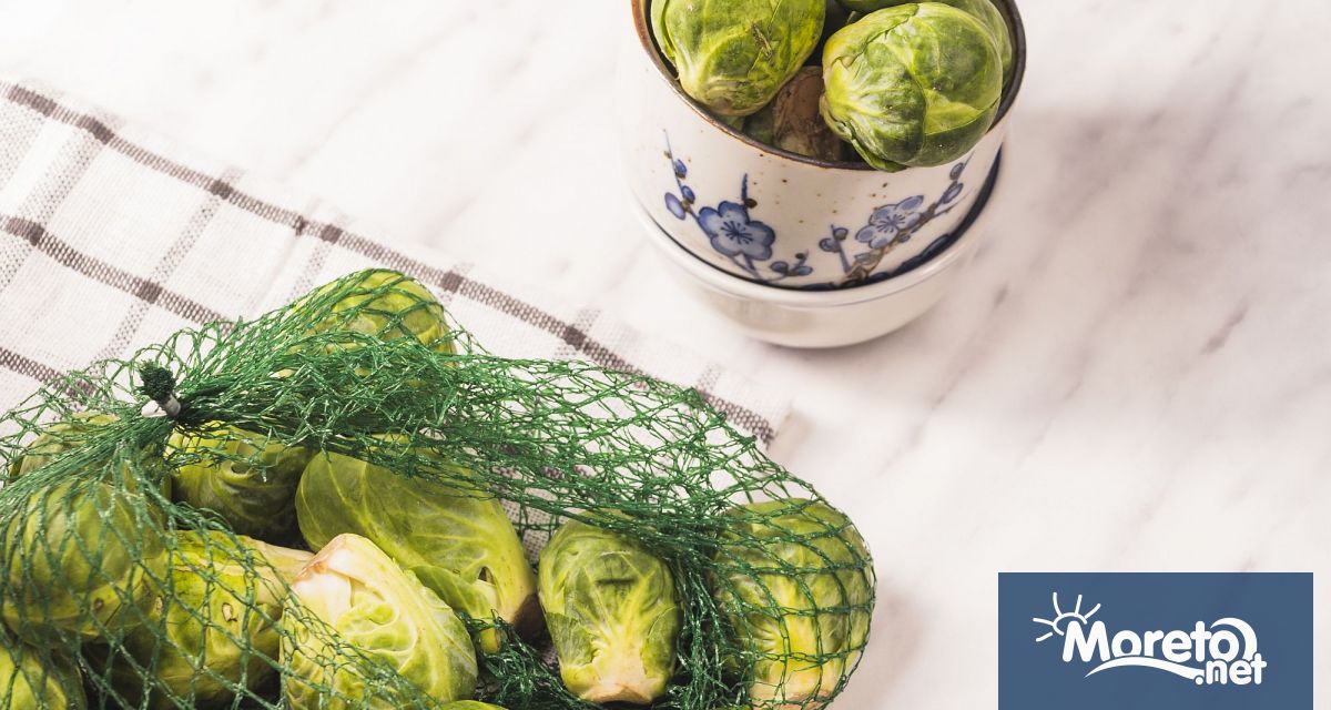 Родината на брюкселското зеле е Белгия а Европа го е