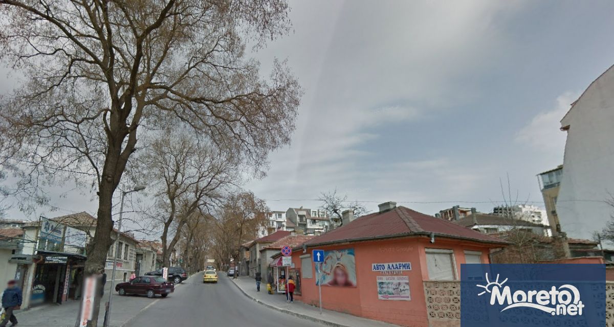 От събота 7 февруари започва обезопасяваща санитарна и формираща резитба