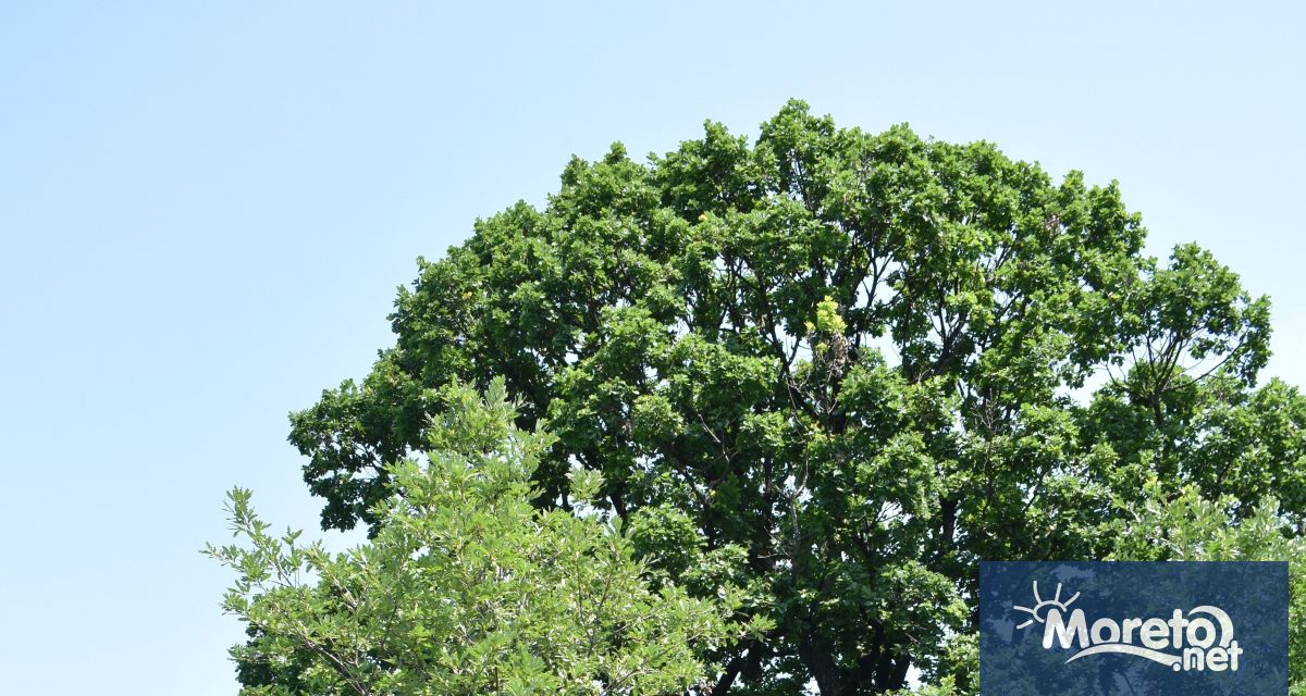 Със заповед на министъра на околната среда и водите Манол