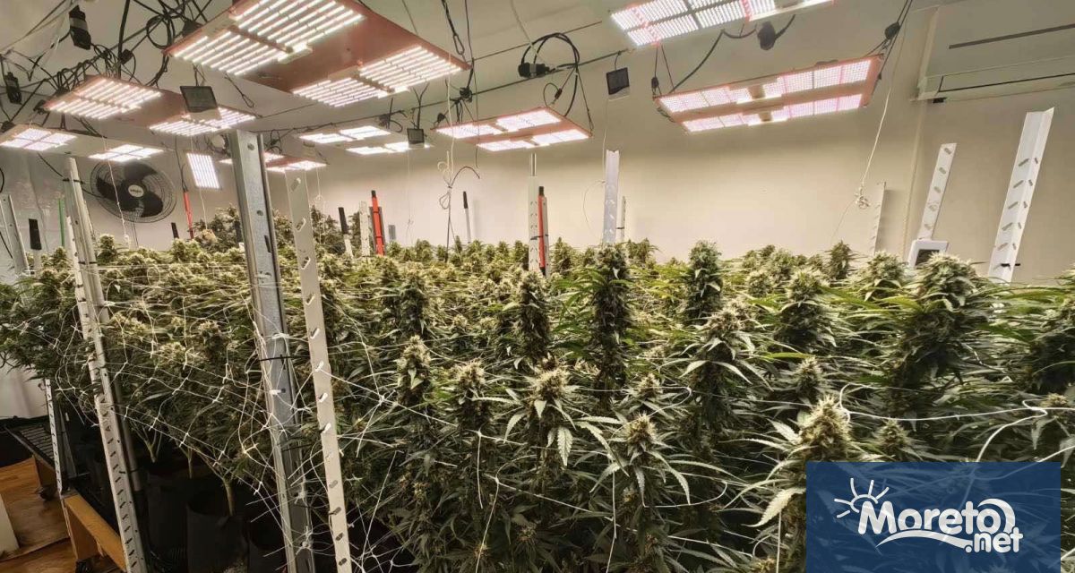 40 годишен мъж е задържан след разкриването на модерно оборудвана